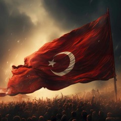 100.YIL