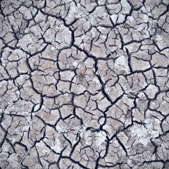 Christan - Träumer