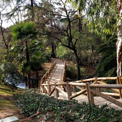 Deep Techno x Arab #1