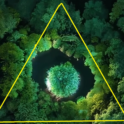 Triangle-Dort-Cercle