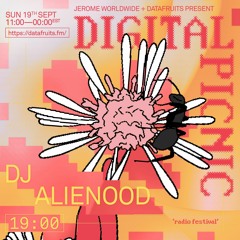 JEROME WORLDWIDE DIGITAL PICNIC - DJ alienood