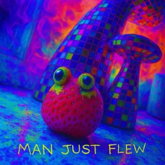 Man just flew