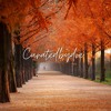 PSILY (CURATEDBYDOE)