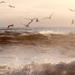 In the Viewfinder - for cello and soundtrack