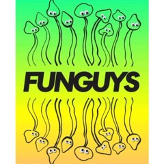 Mix from Funguys Tacos 29th Nov 24
