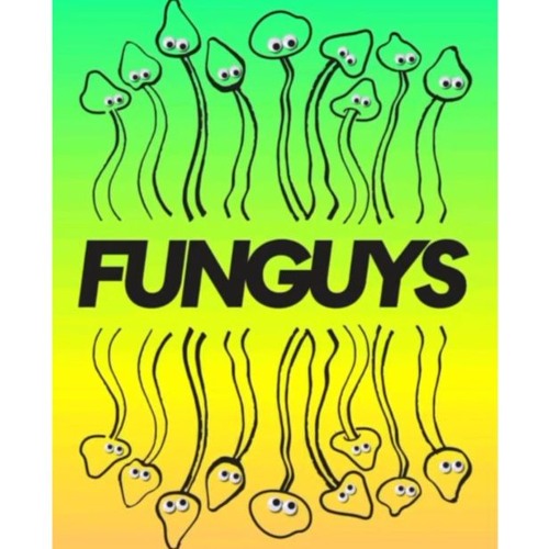 Mix from Funguys Tacos 29th Nov 24