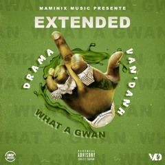 DRAMA X VAN'DANH - WHAT A GWAN (EXTENDED)