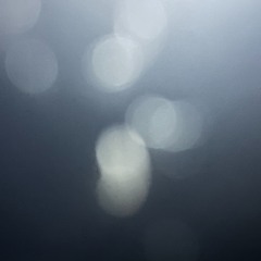 Winter Dawn - 雪路  [naviarhaiku474]