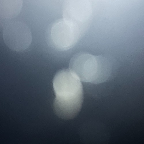 Winter Dawn - 雪路  [naviarhaiku474]