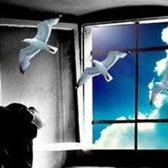 يا شامُ مِنّا قبلةٌ وسلامُ، من مخيمات النزوح للشام...