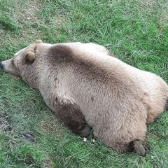 R.I.P (CrEaTiVe Remix)