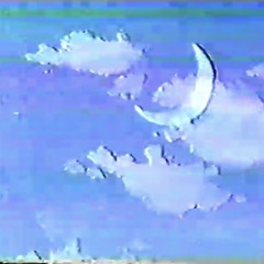 nightsummerfield