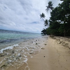 T.O.S (cover by Ruru)