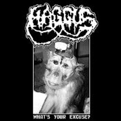 Haggus - What's Your Excuse?(2023) *track list*