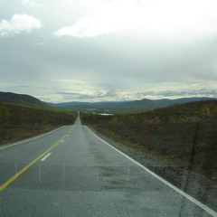 dontworrybabe_dsily_charliemix