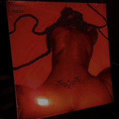 Partynextdoor control OL