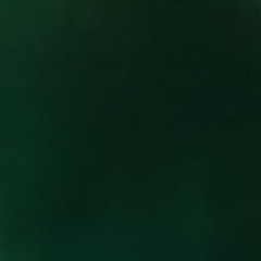 밤비 cover