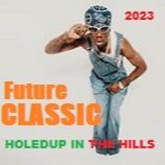 FUTURE CLASSIC 31