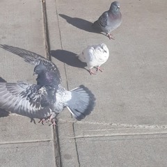 next yuh by crissisink