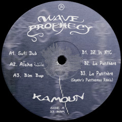 Kamoun - Wave Prophecy EP [DDR009]
