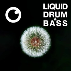 Liquid Drum & Bass Sessions #51 [November 2021]