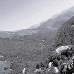 SYNPHORYA  - INSOMNIA