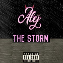 The Storm (prod.H3 Music)