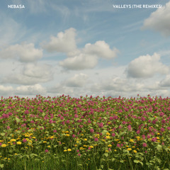 Nebasa - Valleys (Need You) [Vigil Thoughts Remix]