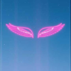 Fly Fast, Dream High