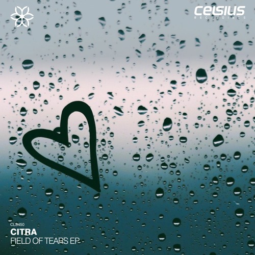 CITRA - River Flow