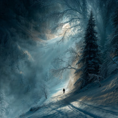 Where the Starlight Blew