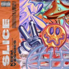 Slice (Paymels)