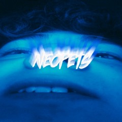 Don't Forget To Feed Your Neopets 2