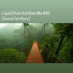 Liquid Drum And Bass Mix #60 (Sound Territory)
