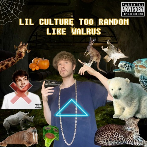 Lil Culture Too Random Like Walrus