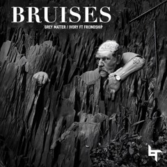 Bruises - Ivory ft. Fri3ndship
