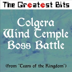 Colgera Wind Temple Battle - Tears of the Kingdom - The Greatest Bits