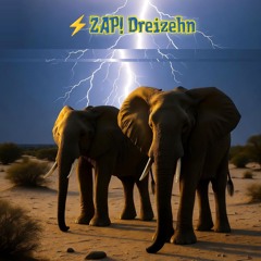 ⚡ ZAP! Dreizehn