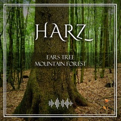 NaturalPark Harz Forest Spring Birds Inseqts EarsTree InsequtCrossing VeryClose