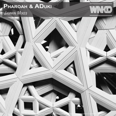 Pharoah & ADuki - Jammin Mixes