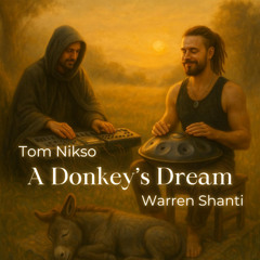 Tom Nikso & Warren Shanti - A Donkey's Dream (Original Mix)