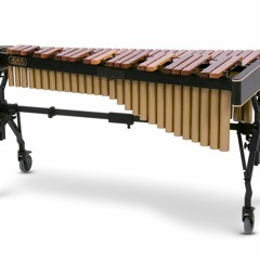 Xylo Roll Reverb
