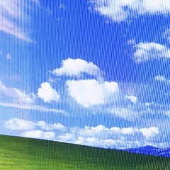 Dovesinthewind(Prod.Sunsetzer0)