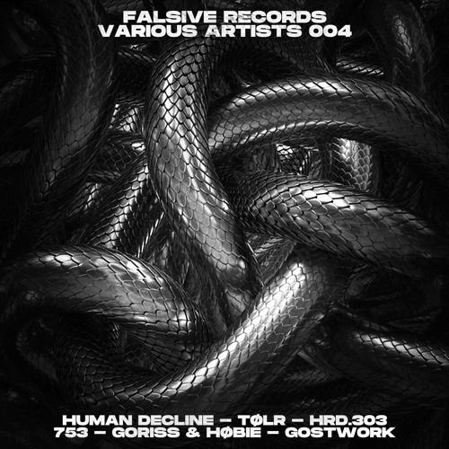 FALVA004 | Falsive Records VA004