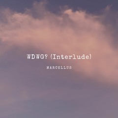WDWG?(Interlude)