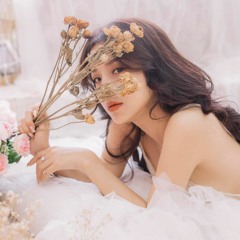 Dừng Lại Ở Đây Thôi - ( Linh Tran Remix) Ft Thương Võ Võ