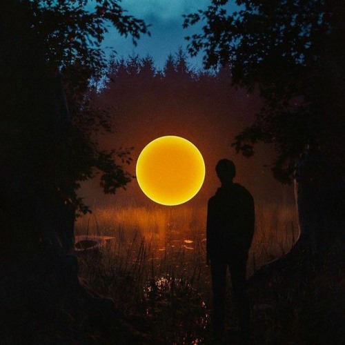 Rediscovering