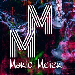 MarioMeier Forest Of Acid Harmony  (Stellas B - Day Rave)