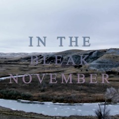In The Bleak November
