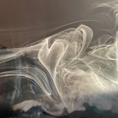 digestion